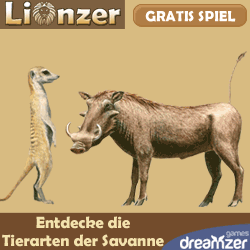 Lionzer: gratis Spiel auf Internet, sich um ein Tier kümmern